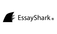 essay service